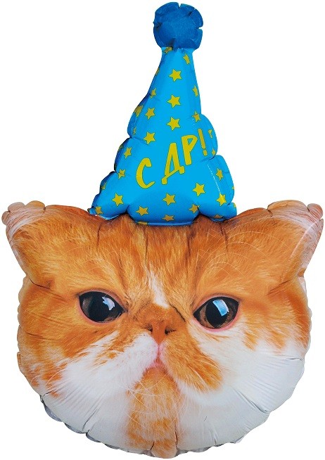 Fa (32''/81 см) Фигура, Котик в колпачке, 1 шт. в уп.
