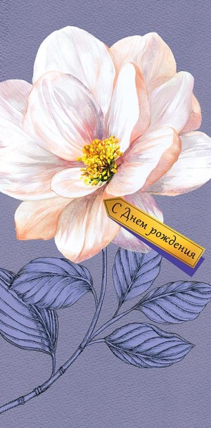 Конверты для денег С Днем Рождения (цветок), Сиреневый, Металлик, 5 шт.