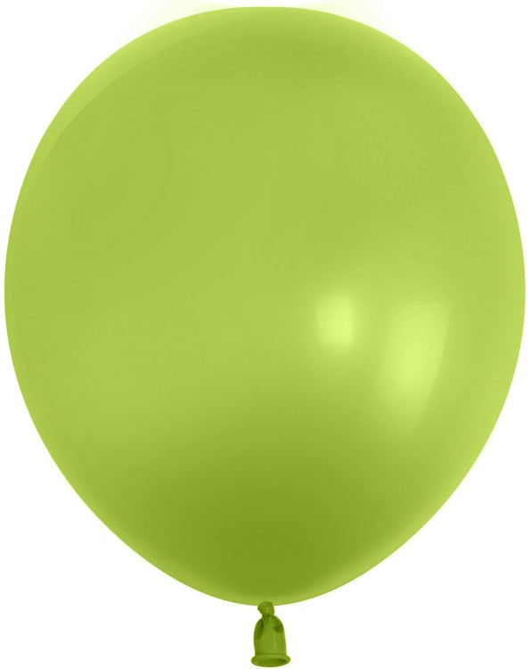 512 (10''/25 см) Весенне-зеленый (S6/095), пастель, 100 шт.