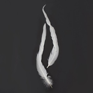 Перья фазана длинные Белый цвет 30-35 см, 2 шт.