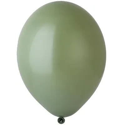 Bb (14''/35 см) /488 Пастель Экстра  Rosemary Green, 50 шт.