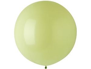 Ev (24''/61 см) /781 Стандарт Macaron Pistachio, 1 шт.