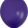 512 (12''/30 см) Фиолетовый (S50/131), пастель, 100 шт.