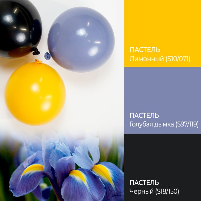 512 (5''/13 см) Голубая дымка (S97/119), пастель ретро, 100 шт.