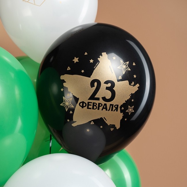 Дб (12''/30 см) 23 Февраля, С Днем Защитника!, Ассорти, пастель, 2 ст, 25 шт.