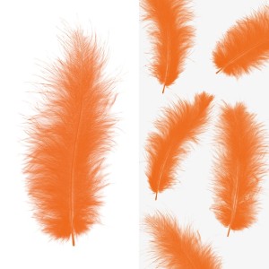 Перья, Премиум, Оранжевый, 12-15 см, 30 шт. Перья, Премиум, Оранжевый, 12-15 см, 30 шт.
