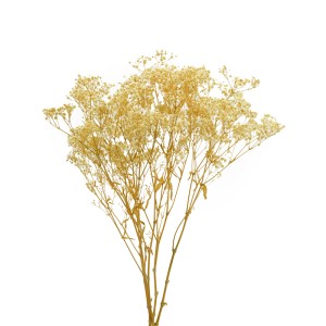 Гипсофила стабилизированная, Кремово-белый (110 гр +/- 10 гр) / 1 упак. Гипсофила стабилизированная, Кремово-белый (110 гр +/- 10 гр) / 1 упак.