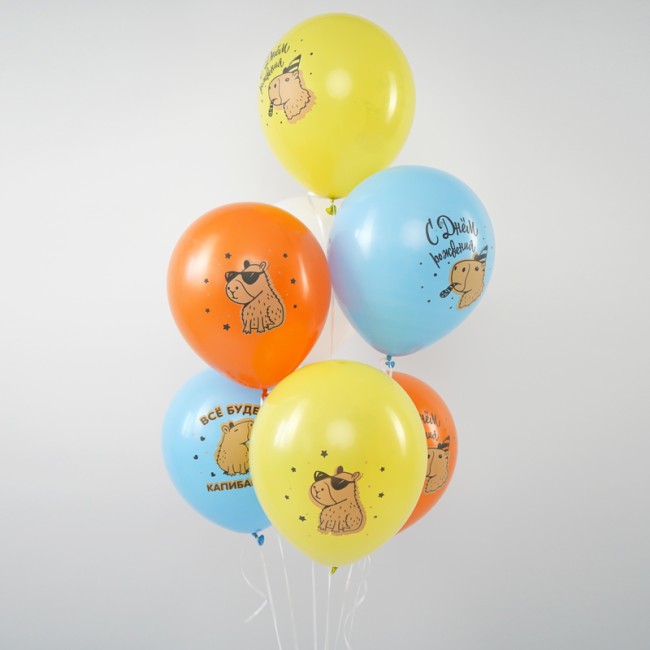 Вп (12''/30 см) СДР Капибара, Ассорти Пастель, 50 шт.