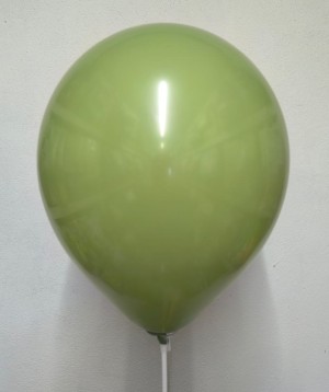 Вх (18''/46 см) Эвкалипт, Пастель, 5 шт.