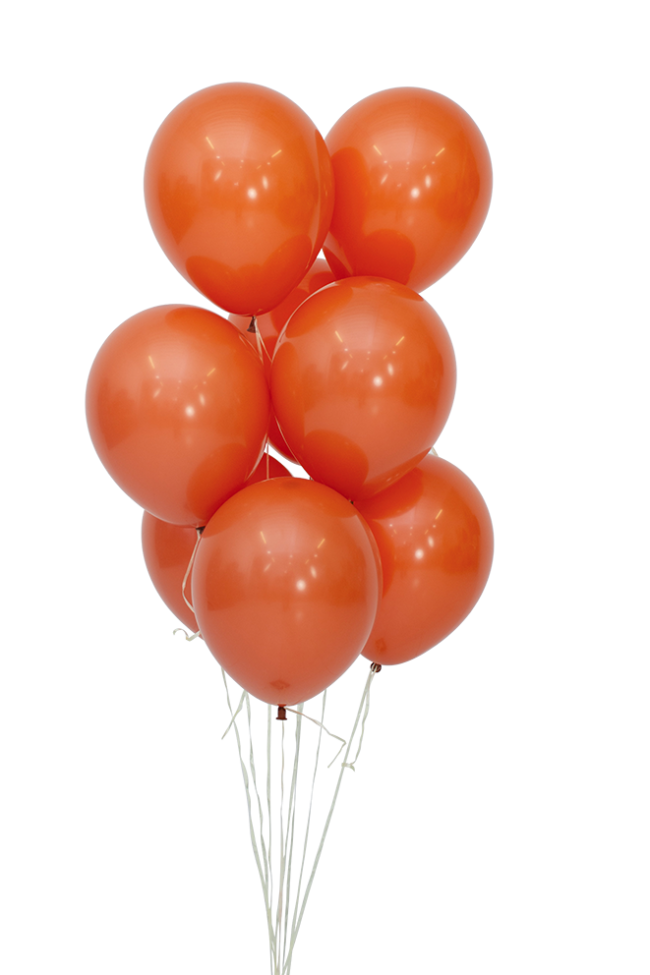 Sp (12''/30 см) Оранжевый закат (062), пастель, 12 шт.