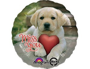 An (18''/45 см) /Круг, Щенок с сердечком, 1 шт.