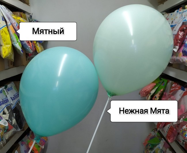 ДБ (10"/25 см) Макарунс, Нежная мята, пастель, 100 шт.