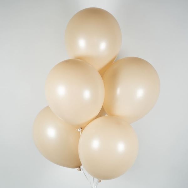 M (12''/30 см) Пастель FOSSIL, 417, 100 шт.