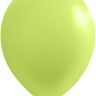 Дб (10"/25 см) Светло-зеленый, пастель, 100 шт.