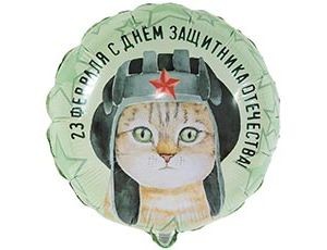 Вз (18"/46 см) Круг, РУС 23 ФЕВРАЛЯ Кот в шлемофоне, 1 шт.