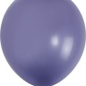512 (12"/30 см) Голубая дымка (S97/119), пастель ретро, 100 шт.