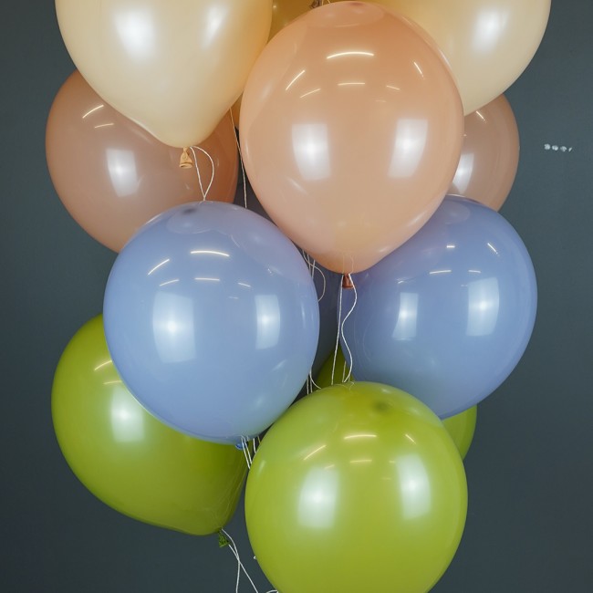 512 (12''/30 см) Голубая дымка (S97/119), пастель ретро, 100 шт.