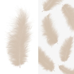 Перья, Премиум, Шампань, 12-15 см, 30 шт.