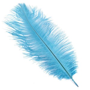 Br Перья Голубые, 14-17 см, 30 шт.