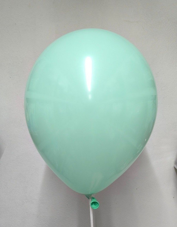 Вх (12''/30 см) Мятный, Пастель / Mint Green, 100 шт.