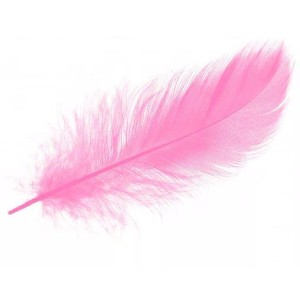 Br Перья Нежно-розовые 8-12 см, 30 шт.