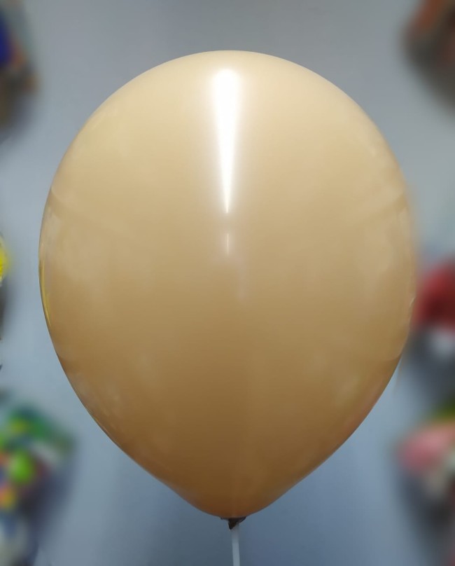 M (12''/30 см) Пастель SEPIA, 479, 100 шт.