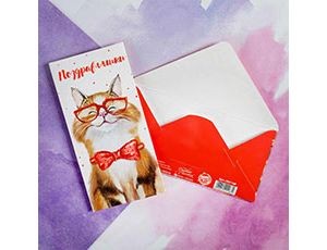 Конверт д/денег ПОЗДРАВЛЯШКИ Кот, 10 шт.