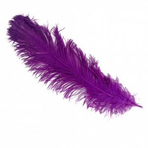 Br Перья Сиреневые, 14-17 см 30 шт.