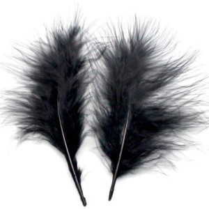 Br Перья Черные, 14-17 см, 30 шт.