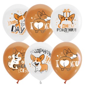 M (12"/30см) WHITE&ORANGE 1 ст. 2 цв. рис. Корги С Днём Рождения 25 шт.