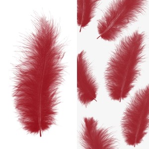 Перья, Премиум, Красный, 12-15 см, 30 шт. Перья, Премиум, Красный, 12-15 см, 30 шт.