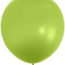 512 (18''/46 см) Весенне-зеленый (S6/095), пастель, 10 шт.