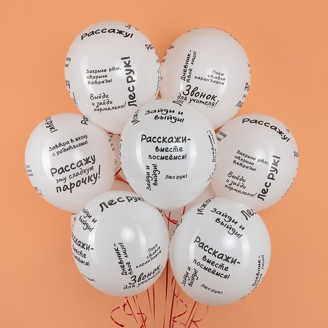 Вв (12''/30 см) Школьные цитаты, Белый, пастель, 5 ст, 25 шт.