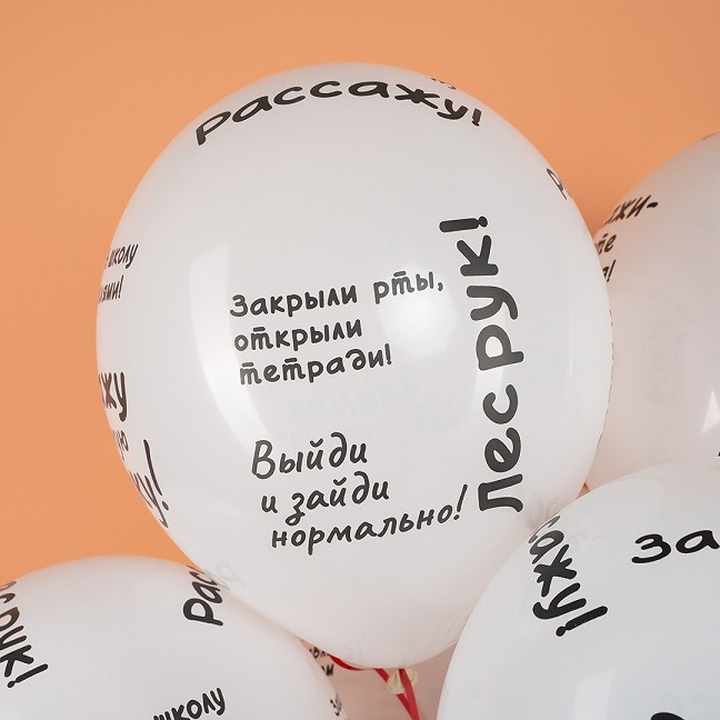 Вв (12''/30 см) Школьные цитаты, Белый, пастель, 5 ст, 25 шт.