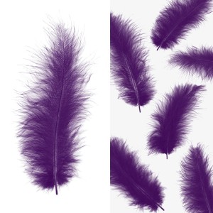Перья, Премиум, Фиолетовый, 12-15 см, 30 шт. Перья, Премиум, Фиолетовый, 12-15 см, 30 шт.