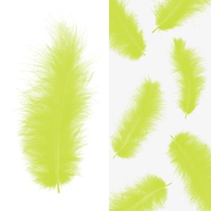 Перья, Премиум, Светло-зеленый, 12-15 см, 30 шт. Перья, Премиум, Светло-зеленый, 12-15 см, 30 шт.
