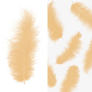 Перья, Премиум, Персиковый, 12-15 см, 30 шт. Перья, Премиум, Персиковый, 12-15 см, 30 шт.