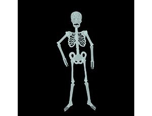 Скелет светящ в темноте 90см
