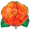 Аn (20"/50 см) ФИГУРА/S50 Цветок Ноготок оранжевый, 1 шт.