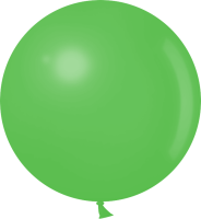 ДБ (24"/61 см) Светло-зеленый, пастель, 1 шт.