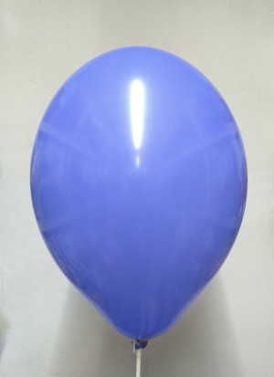 Вb (14''/35 см) /017 Пастель Экстра Cornflower Blue (50 шт.)