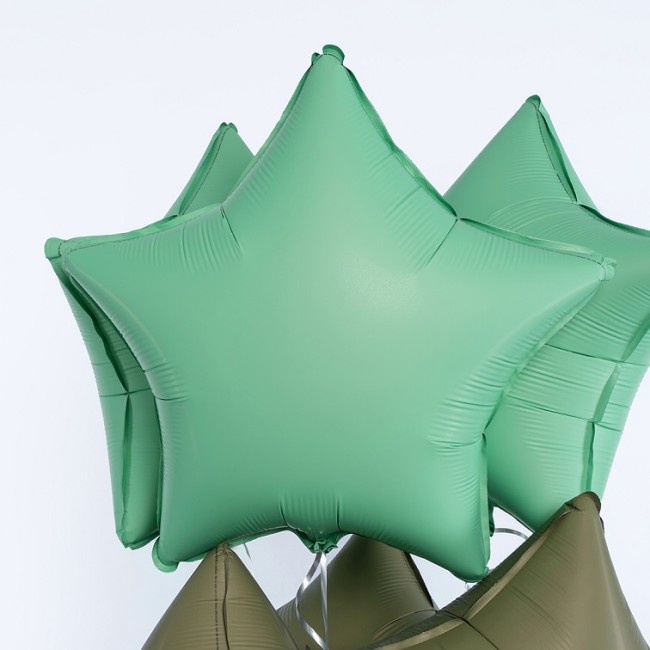 Fm (18''/46 см) Звезда, Мятный, Матовый, 1 шт.