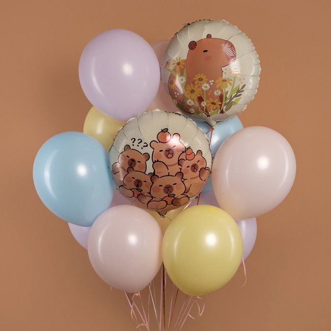 Fa (18''/46 см) Круг, Капибара, Дизайн №1, 1 шт.