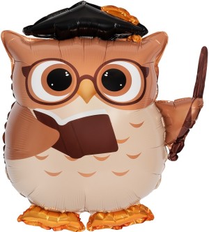 Fa (25''/64 см) Фигура, Сова Выпускник, 1 шт. в уп.