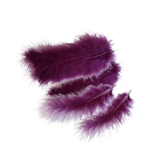 Y Перья сливовые 30шт Y Перья сливовые 30шт