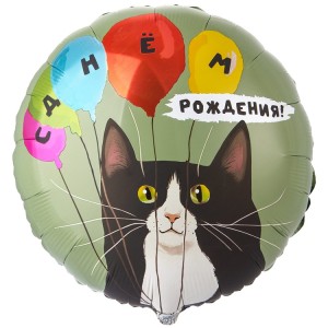Вз (18''/46 см) Круг, ДР Кот и воздушные шары, 1 шт. в уп.