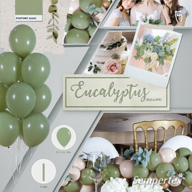 Sp (5''/13 см) Эвкалипт, Пастель, 100 шт.