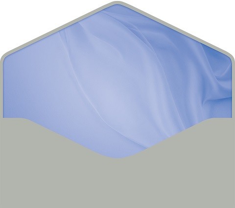 Конверты для денег, Нежный бант, 10 шт.