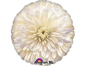 An (18"/46см) /Цветок Астра, Белый